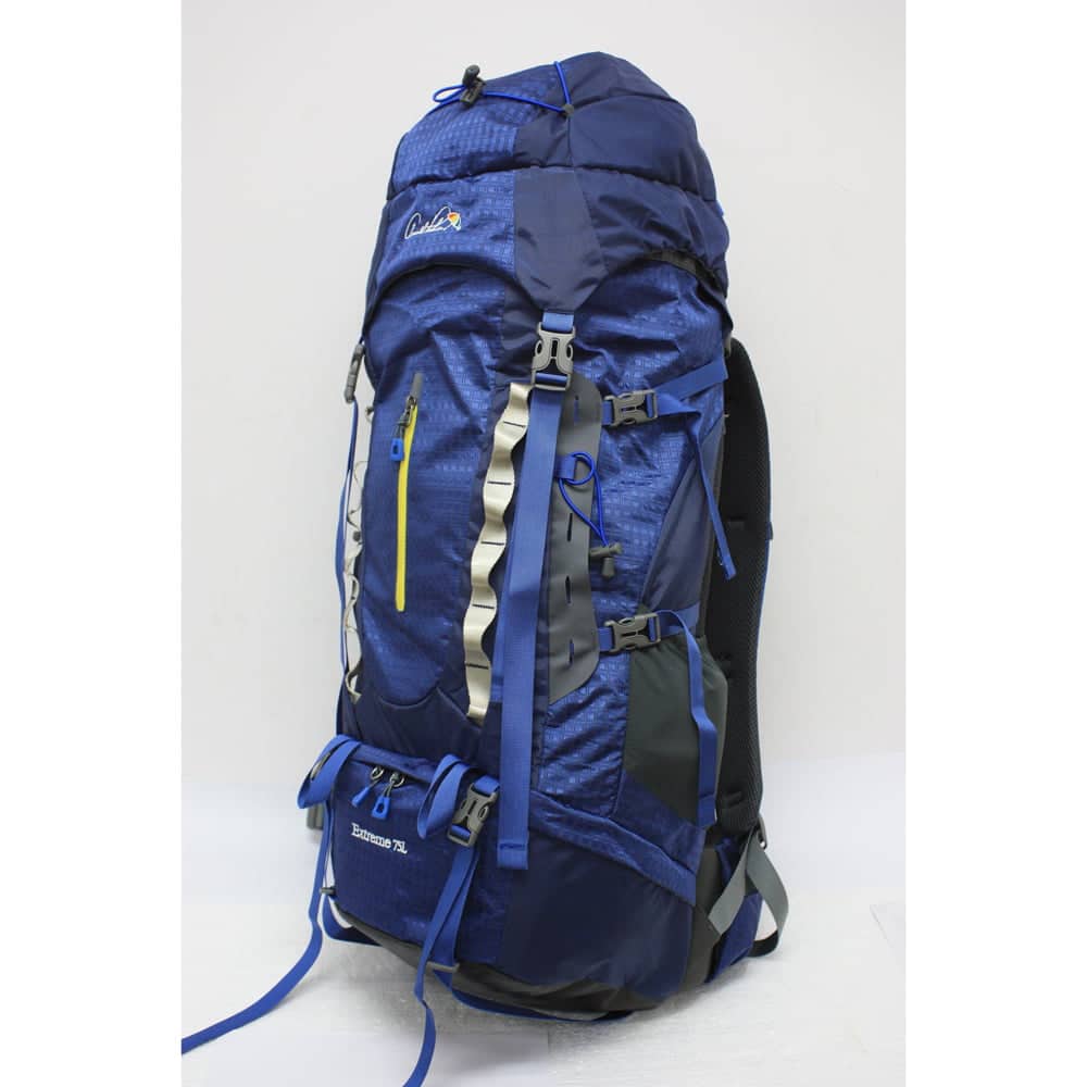 jansport agave backpack flight JanSport Agave Backpack