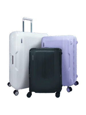 Gardini® CAPRI-PP11 - PP Clip Case
